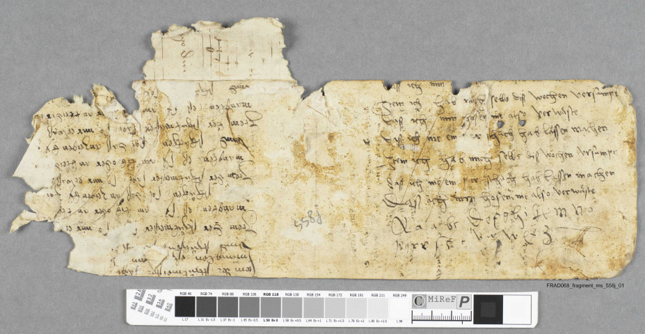 Fragment ms 558j