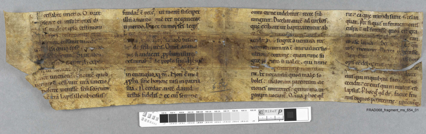 Fragment ms 654