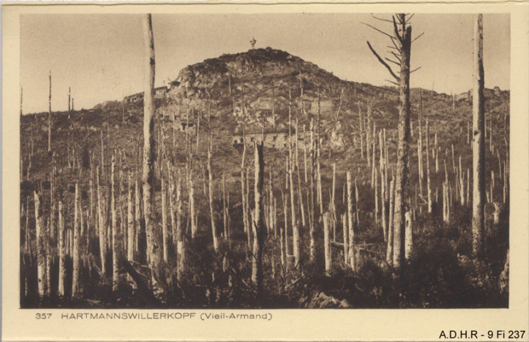 Hartmannswillerkopf (Vieil Armand) : vue d'ensemble