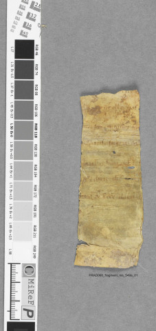 Fragment ms 549a