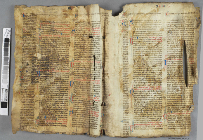 Fragment ms 481a