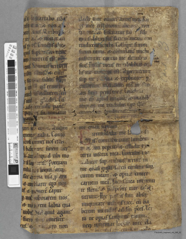 Fragment ms 395