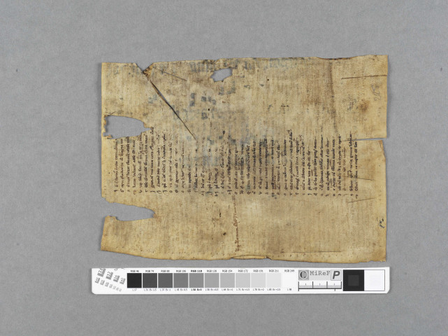 Fragment ms 225a