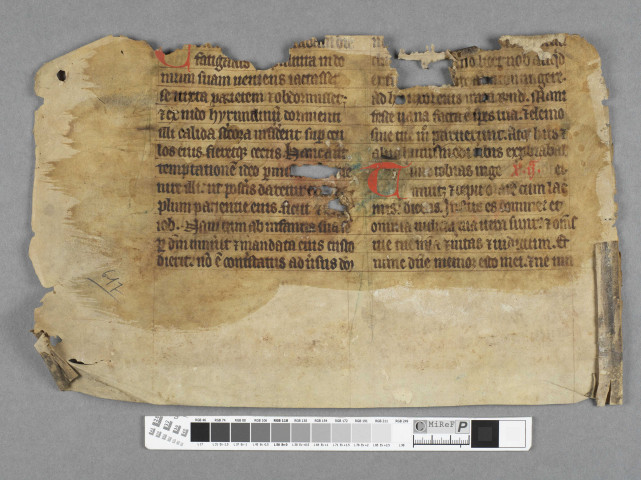 Fragment ms 617a