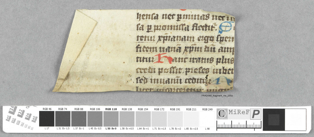 Fragment ms 255a