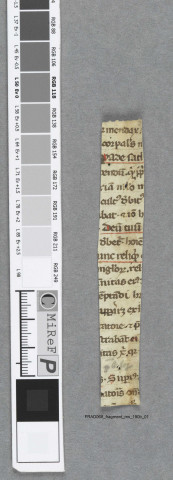 Fragment ms 190b