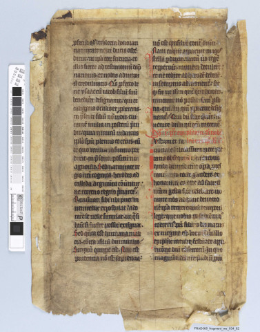 Fragment ms 034