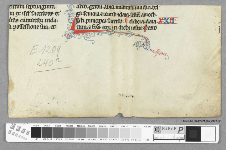 Fragment ms 240a