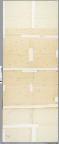 Arbre généalogique de la famille d'Andlau