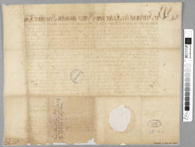 Lettres patentes de l'empereur Ferdinand II autorisant le capitaine Niclaus Weiss à lever des recrues