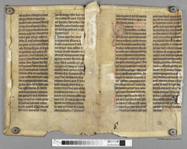 Fragment ms 615