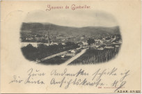 Guebwiller : vue générale