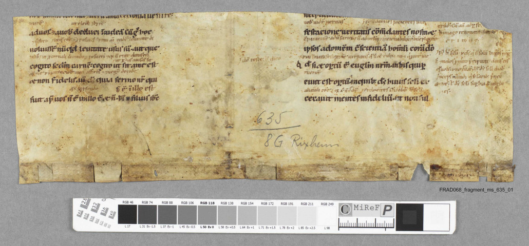 Fragment ms 635a