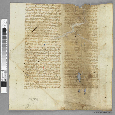 Fragment ms 349a