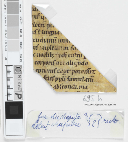 Fragment ms 695h