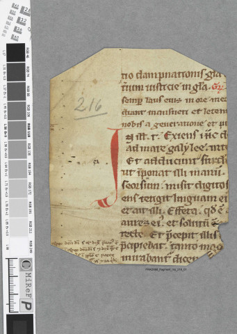 Fragment ms 216