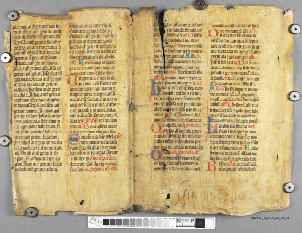 Fragment ms 565