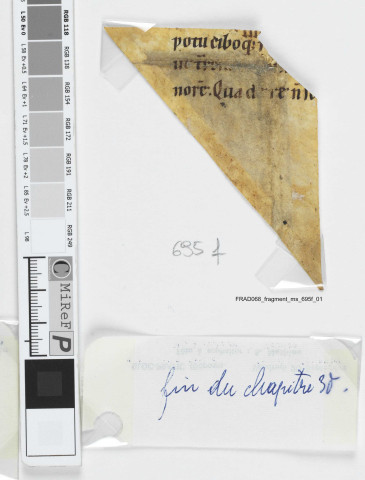 Fragment ms 695f