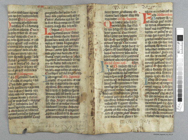 Fragment ms 325