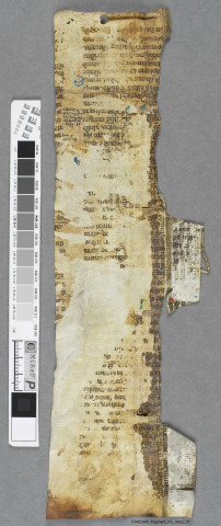 Fragment ms 482a