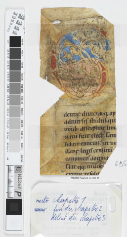 Fragment ms 695b