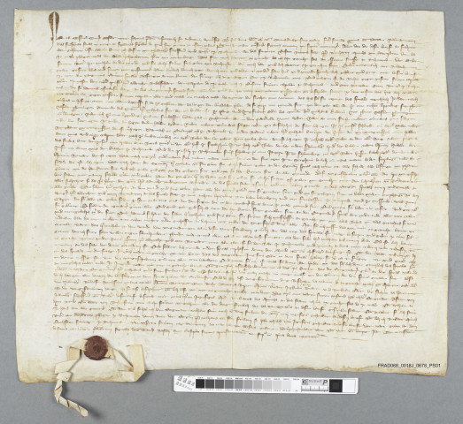 Vidimus d'une constitution de rente au profit de la chapelle Notre-Dame de Riquewihr de 1344