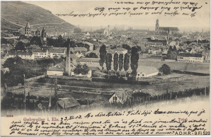 Guebwiller : vue générale