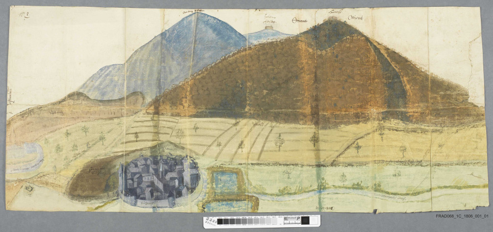 Plans des forêts dépendant du château de Haneck, fief tenu de l'abbaye de Munster par les Schauenburg. (3 pièces)