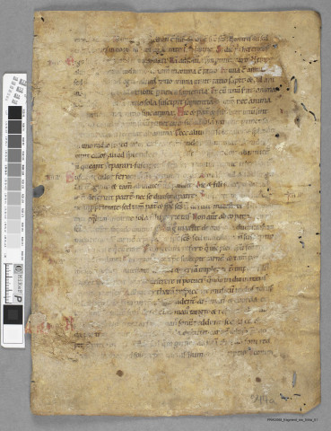 Fragment ms 544a