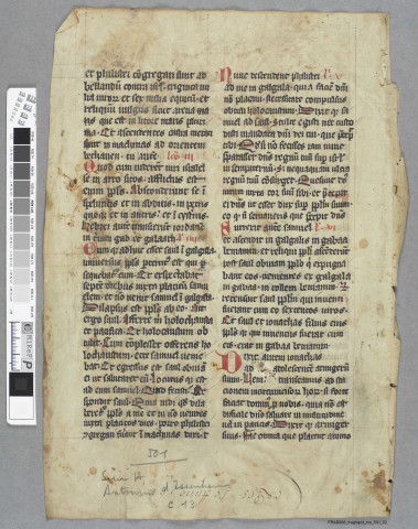 Fragment ms 501