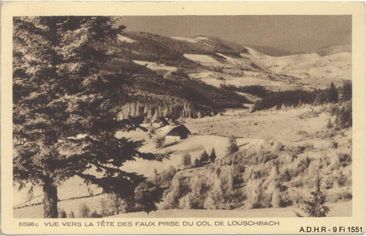 Vue vers la Tête des Faux prise du Col de Louchbach