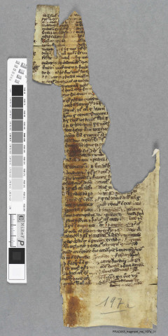 Fragment ms 197a