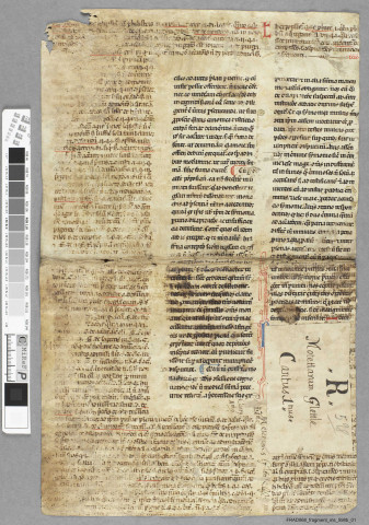 Fragment ms 598b