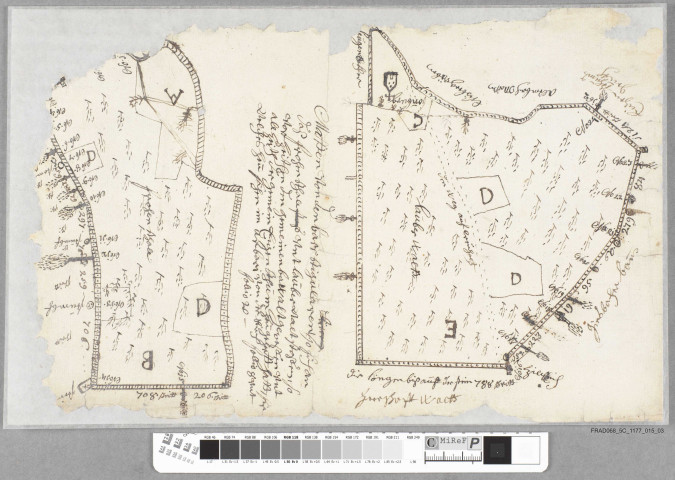 2 plans, 1 description d'une partie de la forêt de Wahlbach ?