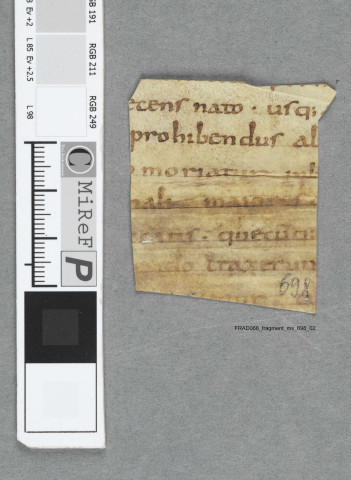 Fragment ms 698