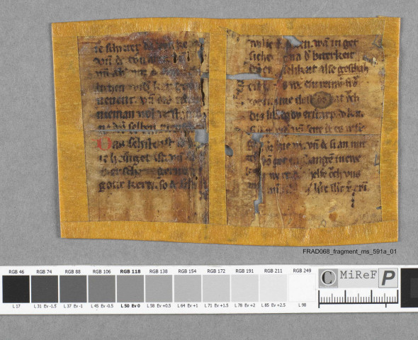 Fragment ms 591a