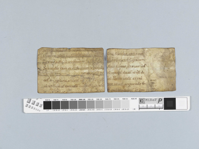 Fragment ms 091a