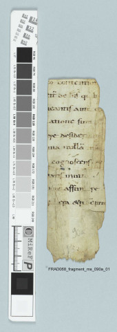 Fragment ms 090a