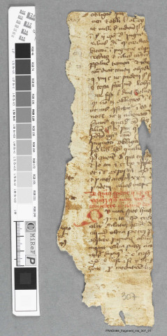 Fragment ms 307ah