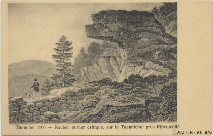 Ribeauvillé : Rocher et mur celtique sur le Taenichel