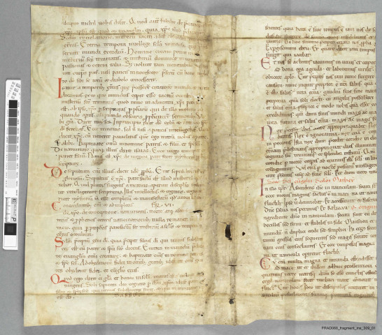 Fragment ms 309