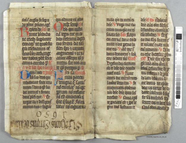Fragment ms 446