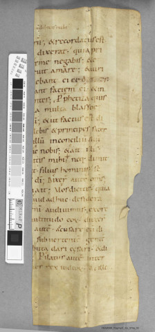 Fragment ms 374a