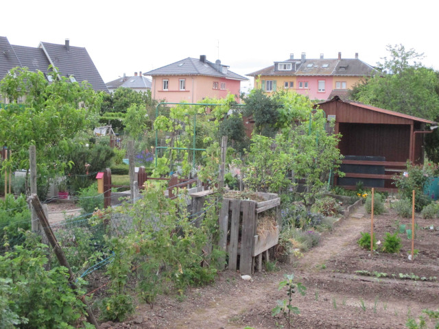 Les jardins familiaux près du collège Berlioz