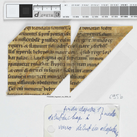 Fragment ms 695b
