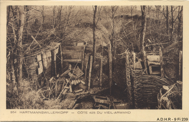 Hartmannswillerkopf (Vieil Armand) : cote 425 du Vieil Armand