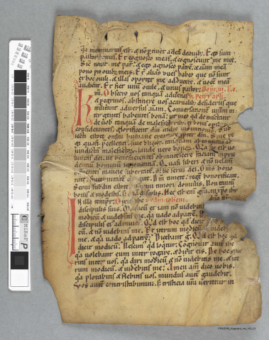Fragment ms 160a