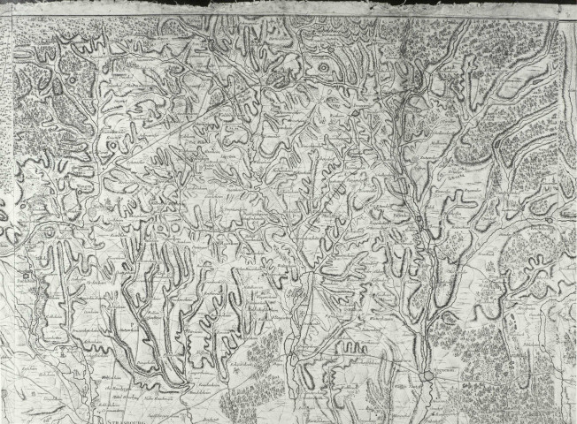 Carte de Lerouge (1745) : "Le cours du Rhin de Bâle à Hert près Philisbourg, contenant l'Alsace et partie du Brisgau".