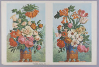 Bouquets. Composition de Joseph Laurent Malaine. Impression (papier peint) de Hartmann-Risler