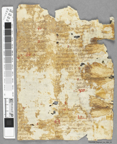 Fragment ms 596c